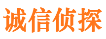 隆昌市调查公司